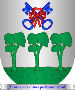 ESCUDO PRECEDENTE