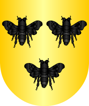 ESCUDO PRECEDENTE