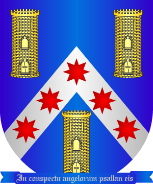 ESCUDO SIGUIENTE