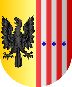 ESCUDO ALEATORIO
