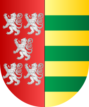 ESCUDO SIGUIENTE