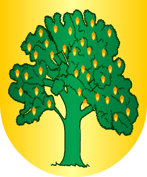 ESCUDO ALEATORIO