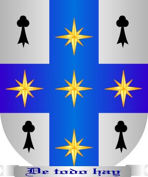 ESCUDO SIGUIENTE