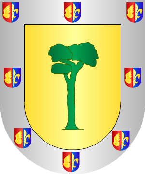 ESCUDO SIGUIENTE
