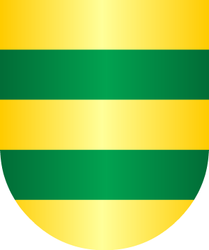 ESCUDO SIGUIENTE