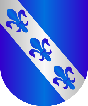 ESCUDO ALEATORIO