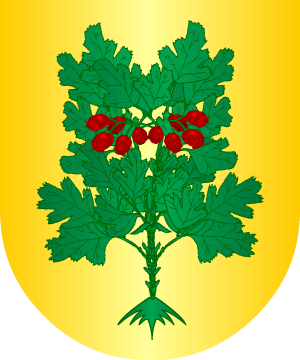 ESCUDO ALEATORIO