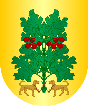 ESCUDO SIGUIENTE