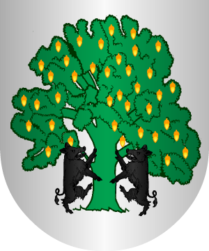 ESCUDO SIGUIENTE