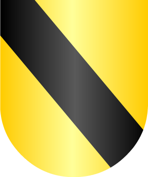 ESCUDO SIGUIENTE