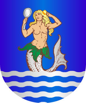 ESCUDO SIGUIENTE