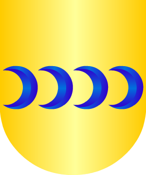 ESCUDO SIGUIENTE