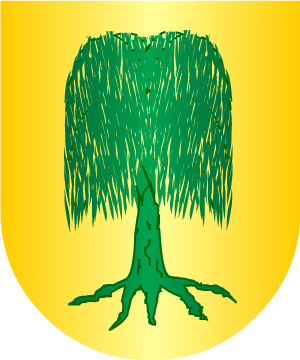 ESCUDO SIGUIENTE