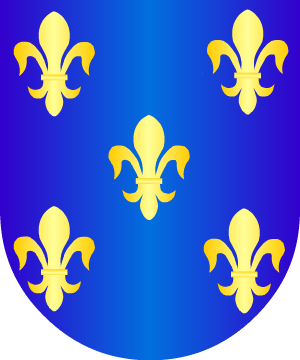 ESCUDO PRECEDENTE