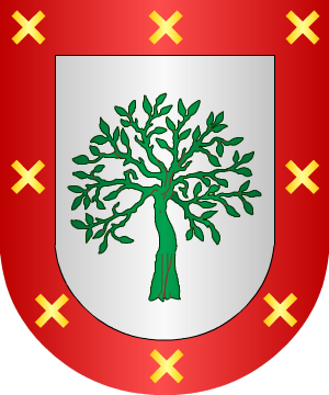 ESCUDO SIGUIENTE