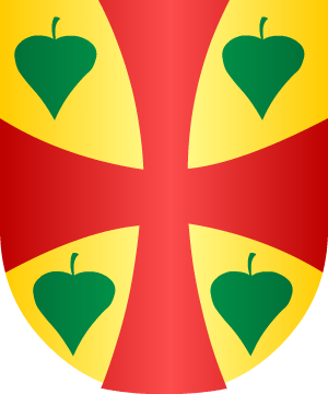 ESCUDO SIGUIENTE