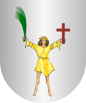 ESCUDO SIGUIENTE