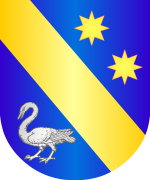 ESCUDO SIGUIENTE