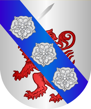 ESCUDO SIGUIENTE