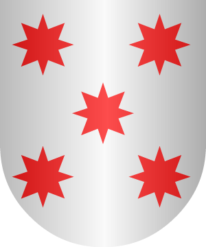 ESCUDO ALEATORIO