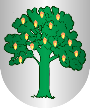 ESCUDO ALEATORIO
