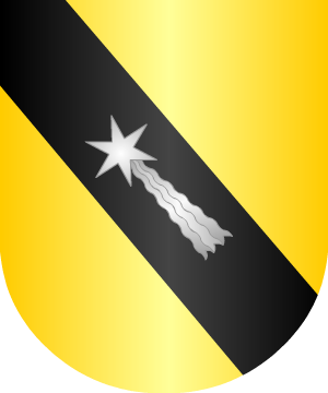 ESCUDO SIGUIENTE