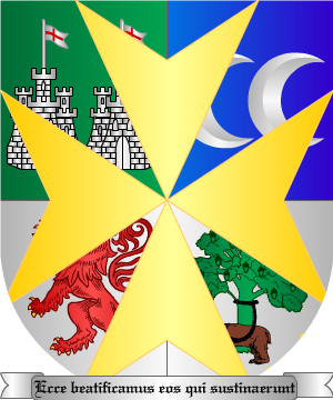 ESCUDO SIGUIENTE