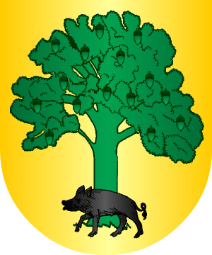 ESCUDO ALEATORIO